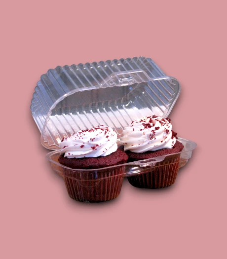 Food Blister Packaging