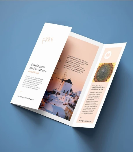 Custom Printed Brochures