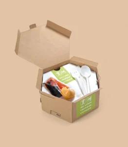 Eco Friendly Boxes