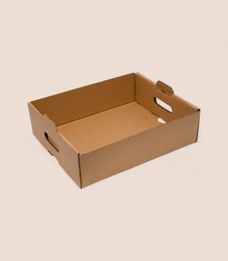 eco-friendly-consumer-tray-boxes