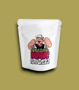 Mylar Comic Bags